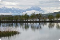 Rheindelta c Rieder Wilfried